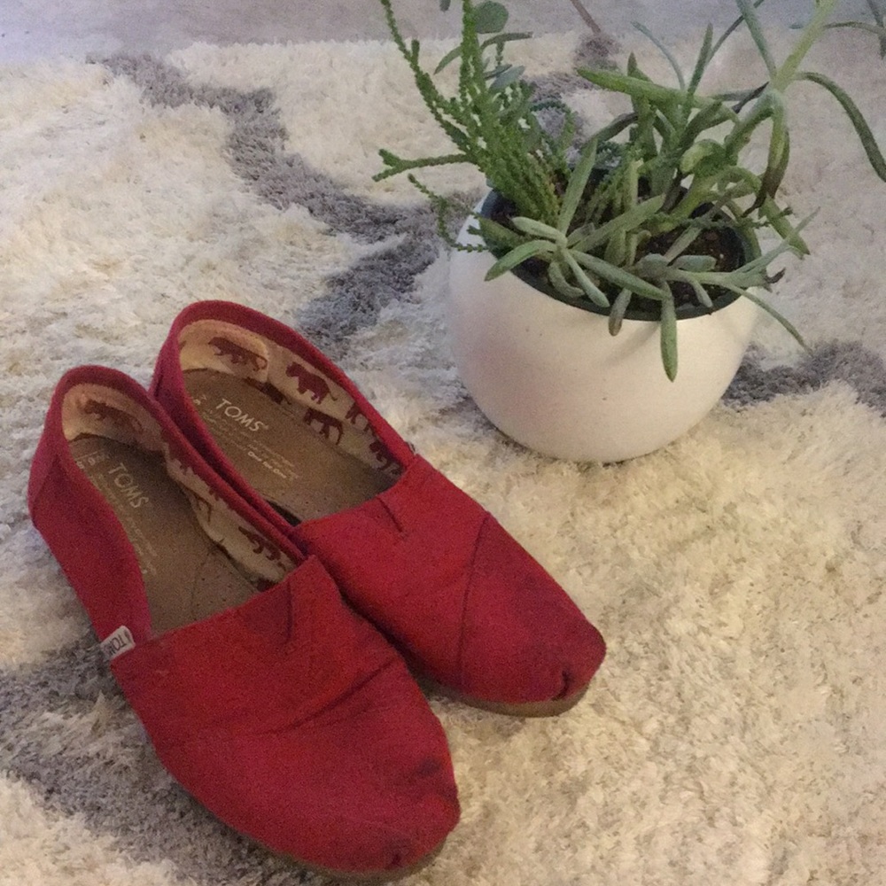 TOMS 6.5 shoes